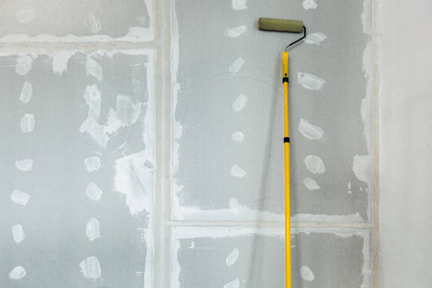 Best Drywall Removal and Disposal  in Arcadia, LA